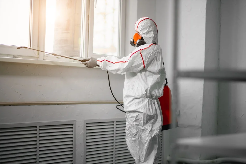 Professional mold remediation services in Osawatomie, KS